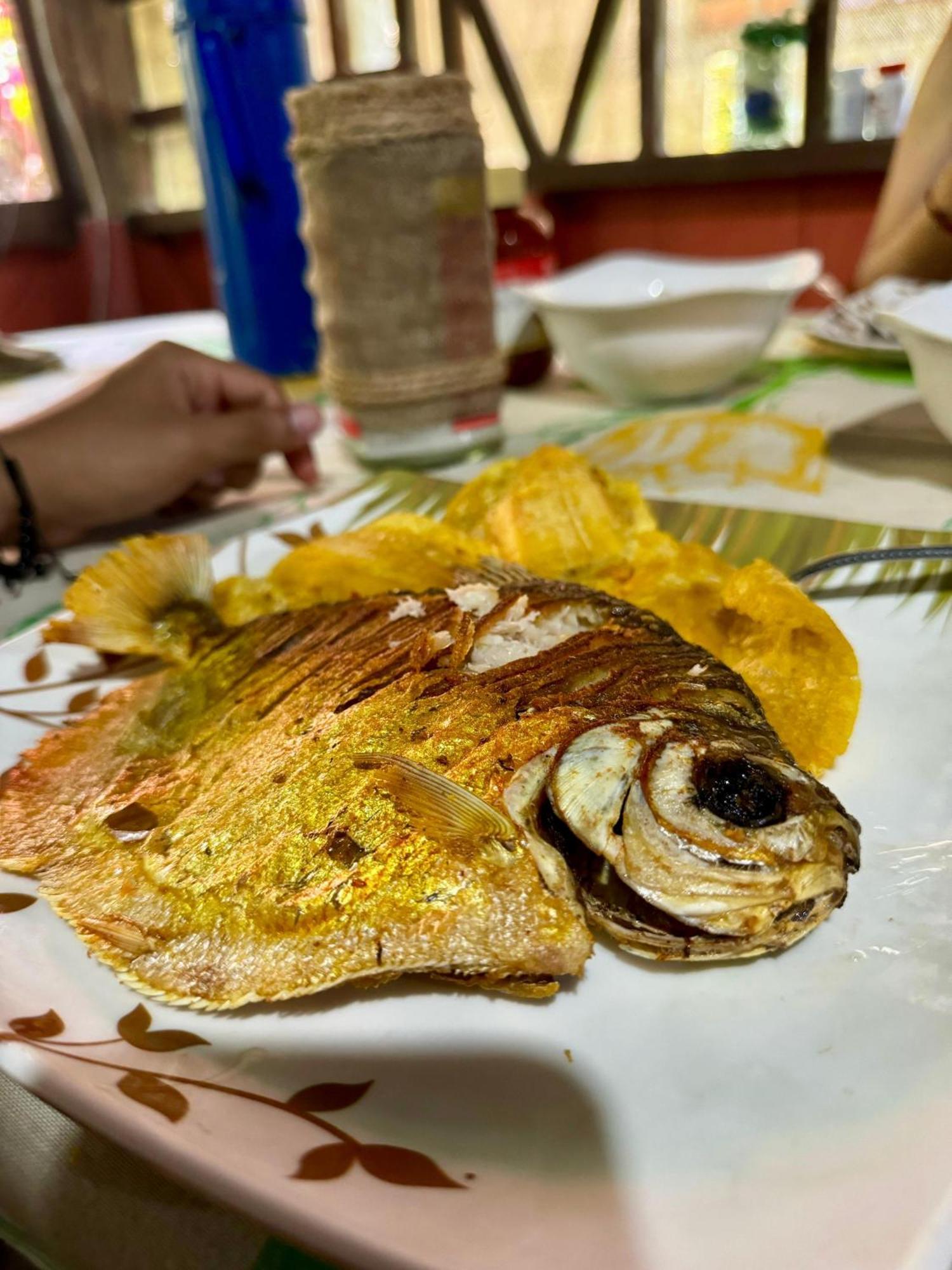 Maiku Amazonas Hotel Puerto Nariño Eksteriør billede